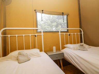 A room with two single beds with white metal frames a small gray bedside table and a window with a rolled-up shade at Honey @ Stars & Embers Glamping in Grampound
