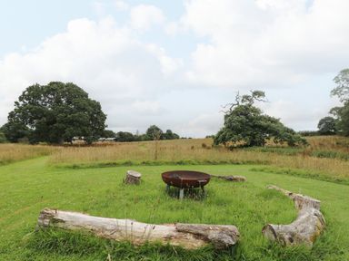 An outdoor fire pit surrounded by logs in a grassy field with trees in the background at Honey @ Stars & Embers Glamping in Grampound