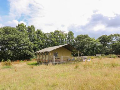 A glamping tent on a raised platform with outdoor chairs and trees in the background at Honey @ Stars & Embers Glamping in Grampound