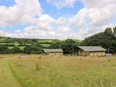 Two camping tents in a grassy field with trees and hills in the background at Honey @ Stars & Embers Glamping in Grampound