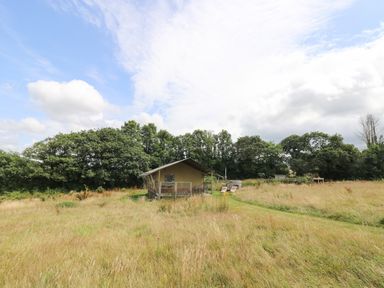A tent structure on a grassy field with two lounge chairs and trees in the background at Honey @ Stars & Embers Glamping in Grampound