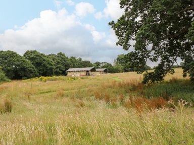 A grassy field with wildflowers and trees with canvas tents in the background at Honey @ Stars & Embers Glamping in Grampound