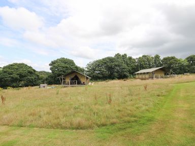 A grassy field with two large canvas tents and trees in the background at Honey @ Stars & Embers Glamping in Grampound