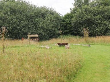 An outdoor grassy area with a fire pit surrounded by logs and a wood storage shed in the background at Honey @ Stars & Embers Glamping in Grampound