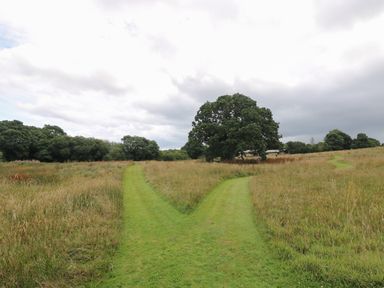 A grassy path splitting into two directions in a field with trees in the background at Honey @ Stars & Embers Glamping in Grampound
