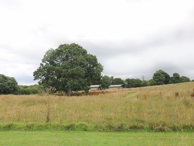 A grassy field with tall grass and trees with two small buildings in the distance at Honey @ Stars & Embers Glamping in Grampound