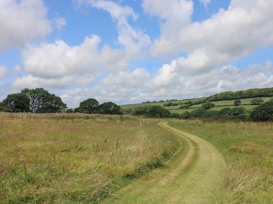 A grassy pathway winding through a field with hills and trees in the background at Honey @ Stars & Embers Glamping in Grampound