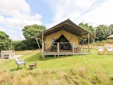 A tent with a porch and outdoor chairs on grass with trees in the background at Bumble @ Stars & Embers Glamping in Grampound
