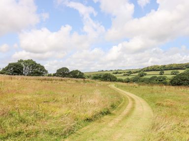 A grassy pathway through a field with trees and hills under a partly cloudy sky at Bumble @ Stars & Embers Glamping in Grampound