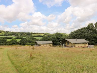 Two tents in a grassy field with trees and hills in the background at Bumble @ Stars & Embers Glamping in Grampound