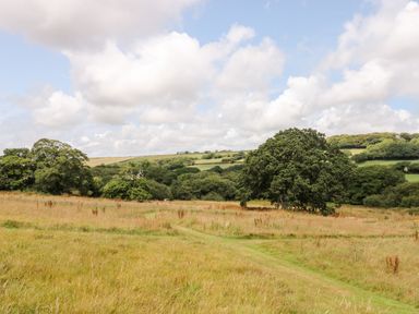 A grassy field with trees and shrubs under a partly cloudy sky at Bumble @ Stars & Embers Glamping in Grampound