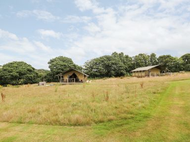 A grassy field with two large canvas tents and trees in the background at Bumble @ Stars & Embers Glamping in Grampound