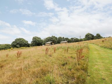 A grassy field with a mowed path leading to two tents among trees at Bumble @ Stars & Embers Glamping in Grampound