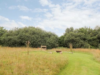A grassy outdoor area with a fire pit and logs surrounded by tall grass and trees at Bumble @ Stars & Embers Glamping in Grampound