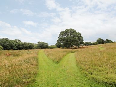 A grass path that splits into two in a field with tall grass and trees in the background at Bumble @ Stars & Embers Glamping in Grampound