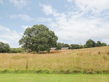 A grassy field with large trees and two tent-like structures in the distance at Bumble @ Stars & Embers Glamping in Grampound