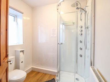 A bathroom with a shower cabin toilet radiator and wooden door at Lillies Pad in Methwold near Feltwell