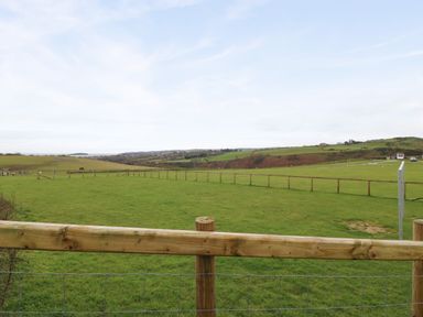 A fenced grassy field with hills and scattered trees in the distance at Caban Tywod in Abersoch