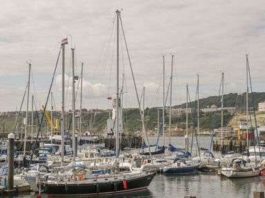 A harbor filled with sailboats and yachts docked with hills and buildings in the background at Hillcrest in Scarborough