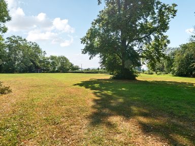 An outdoor area with trees and grass at Milton Manor in Milton On Stour