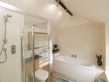 A bathroom with a bathtub, shower enclosure, toilet, sink, and plants at The Postmasters House in Windermere