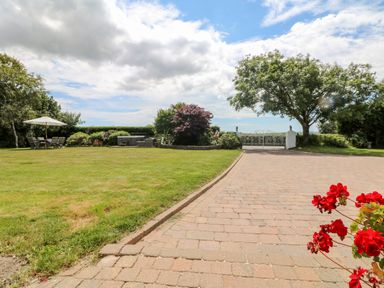 A garden with a paved driveway a tree outdoor seating with an umbrella and red flowers in the foreground at Trevore Farmhouse in Chacewater
