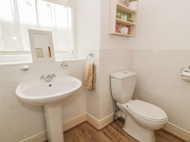 A bathroom with a pedestal sink a toilet and a wall-mounted shelf at Manod View in Blaenau Ffestiniog