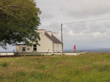 A white house with a rooftop patio and red umbrella surrounded by grass and a large tree at Newtown East near Kilkee County Clare