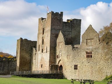A stone castle with towers and a flag on top surrounded by grass and trees at The Boars Head Pub in Bishop's Castle