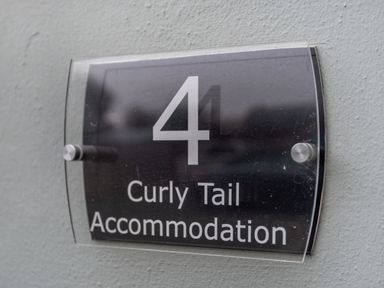 A black and clear sign with number 4 and text Curly Tail Accommodation on a textured wall