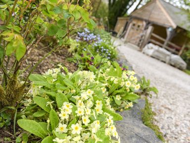 A garden bed with yellow flowers and green leaves next to a gravel path leading to a wooden gazebo at Mimis Cottage in St Neot