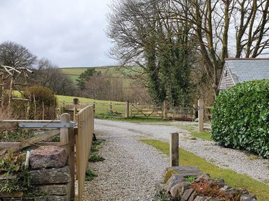 A gravel driveway with wooden gates and fences surrounded by trees and greenery at Mimi's Cottage in St Neot