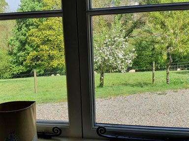 A window view of a garden with trees and sheep in a fenced grassy area at Mimi's Cottage in St Neot
