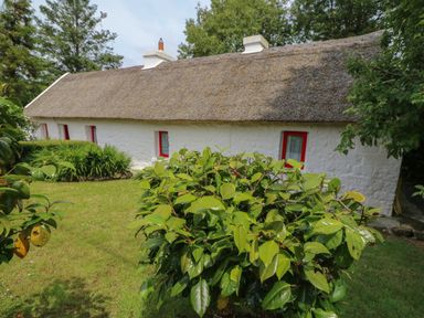 A white stone cottage with a thatched roof and red window frames surrounded by green bushes and grass at Mary Rose Cottage in Cordal near Castleisland County Kerry