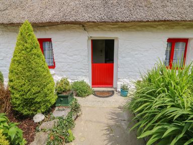The entrance of a white cottage with a thatched roof red door and windows surrounded by green plants and shrubs at Mary Rose Cottage Cordal near Castleisland County Kerry