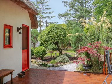 A garden with green trees and plants beside a house with a red door and window at Mary Rose Cottage in Cordal near Castleisland County Kerry