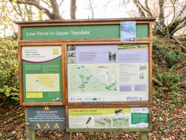 An outdoor information board about Low Force in Upper Teesdale with maps safety advice and nature information at Badgers Sett in Winston near Staindrop