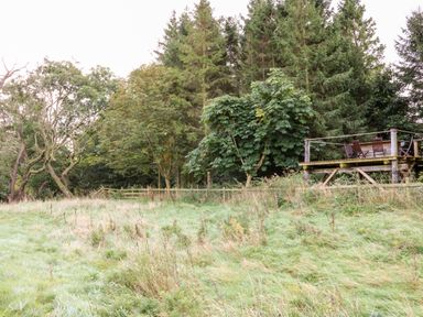 An outdoor wooden deck with chairs surrounded by grass and trees at Badgers Sett in Winston near Staindrop