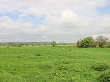 A green field with scattered trees and sheep under a partly cloudy sky at Badgers Sett in Winston near Staindrop