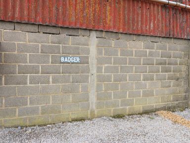A concrete block wall with a red corrugated metal roof and a sign reading Badger on the wall at Badgers Sett in Winston near Staindrop