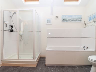 A bathroom with shower and bathtub at Tregona Buckland Monachorum near Yelverton