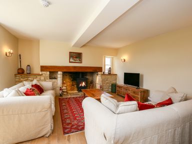 A living room with beige sofas red pillows a wooden coffee table a stone fireplace with a lit stove and a television on a wooden cabinet at Shifford Manor Farm in Shifford near Bampton Oxfordshire