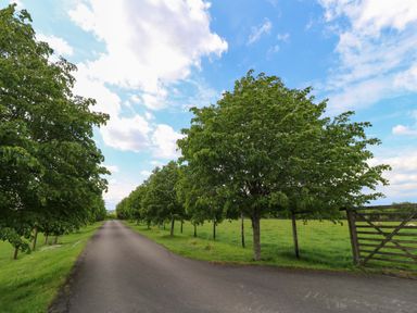 A tree-lined road leading to a gate at Bramble Cottage in Babcary near Lydford-On-Fosse
