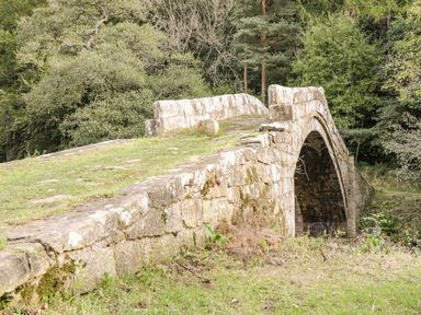 An old stone arch bridge surrounded by grass and trees at Silver Birches in Glaisdale