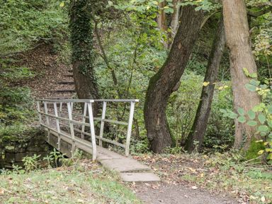 A small bridge over a creek with trees and stairs in a wooded area at Silver Birches in Glaisdale
