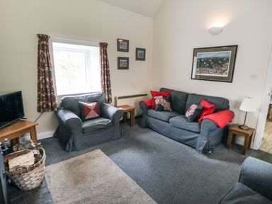 A living room with a blue armchair and sofa with red and patterned cushions a wooden side table a TV and a basket of firewood at Silver Birches in Glaisdale