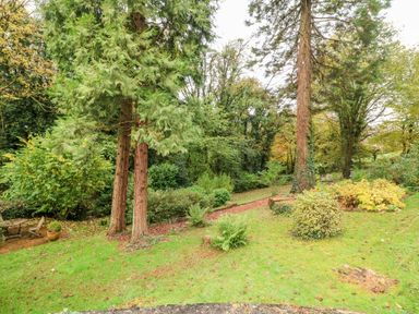 A garden with trees shrubs a small table with chairs and a grassy lawn at October Cottage in Chalford Gloucestershire