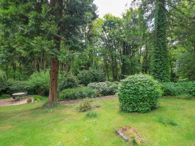 A garden area with green grass bushes and large trees with an outdoor table and chairs on a patio at October Cottage in Chalford Gloucestershire