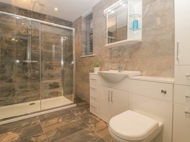 A bathroom with a shower enclosure toilet sink cabinet and wall mirror at Greenlawns in Burnham-On-Sea