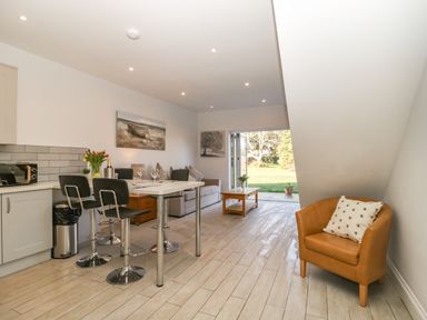 A kitchen and living area with a table and chairs a sofa a coffee table and a brown armchair with a pillow at Greenlawns in Burnham-On-Sea